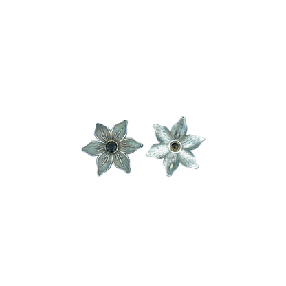 Juhi- Silver Brass Stone-Studded Stud Earrings(Black)