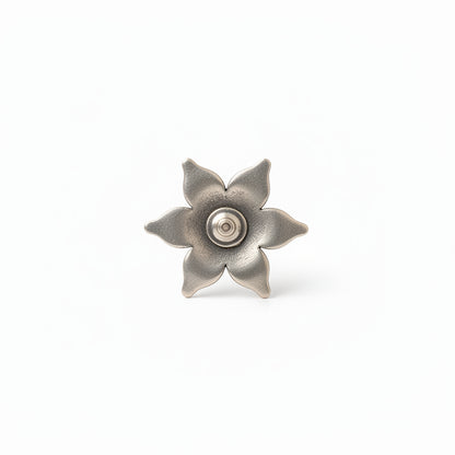 Juhi- Silver Brass Stone-Studded Stud Earrings(Blue)