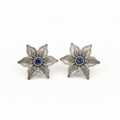 Juhi- Silver Brass Stone-Studded Stud Earrings(Blue)