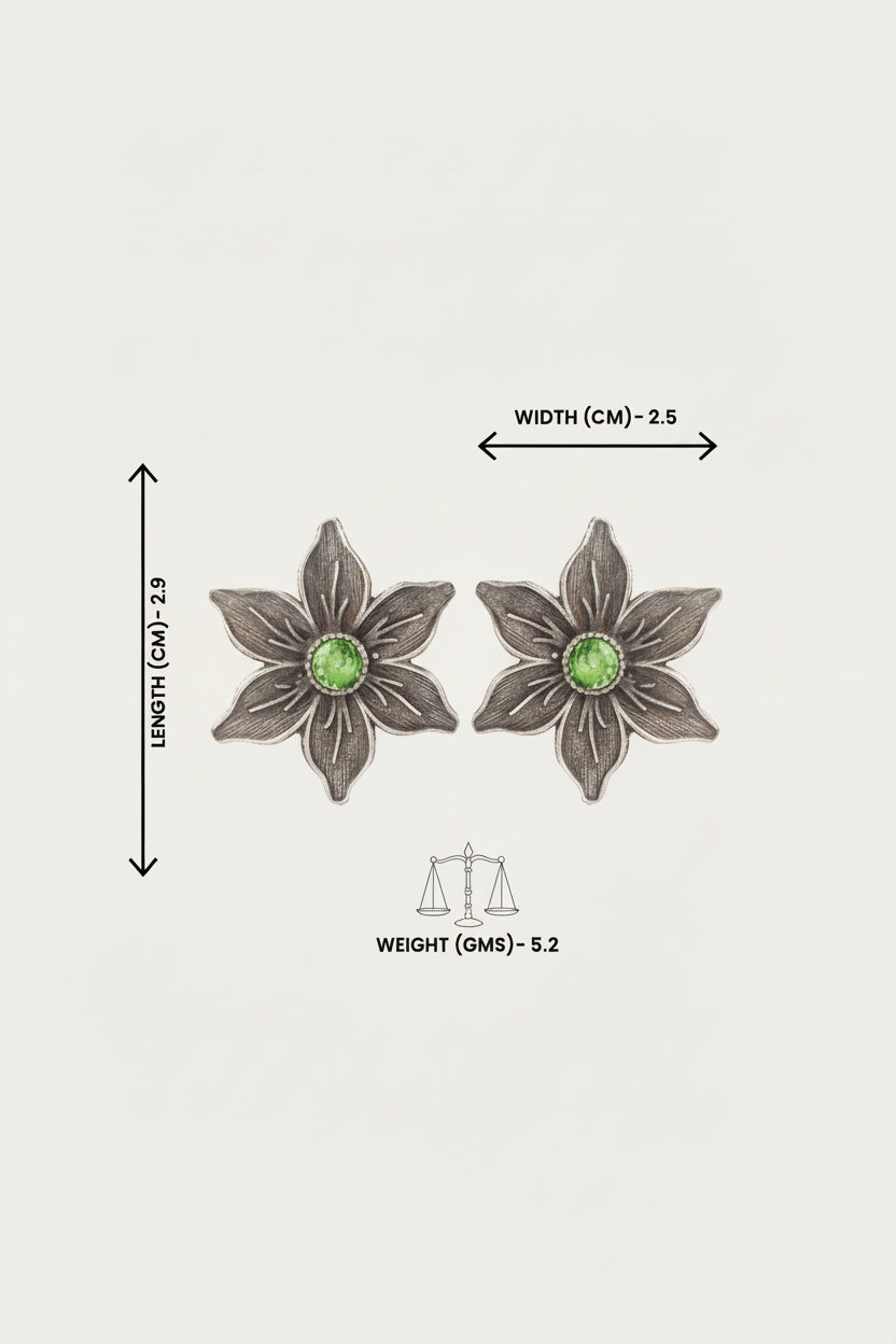 Juhi- Silver Brass Stone-Studded Stud Earrings