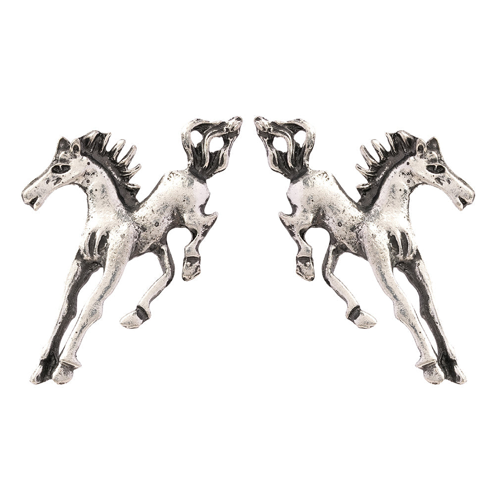 Ashva- Silver Brass oxidised stud earrings