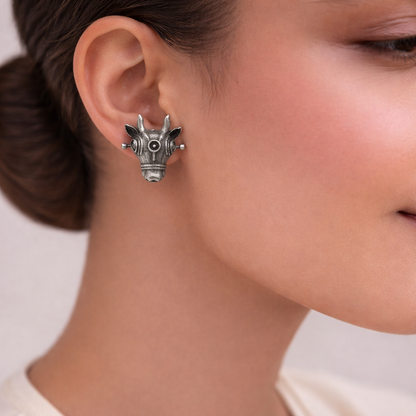 Nandi- Silver oxidised Stone-Studded stud earrings(white)