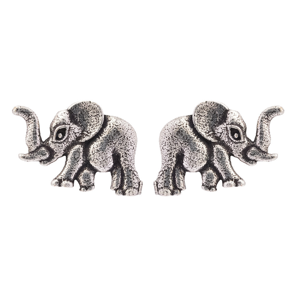 Kanika- Combo of Silver Brass Oxidised stud Earrings