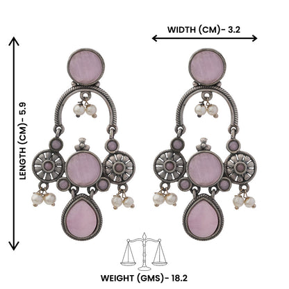 Rasdhara – Silver Brass Oxidised Dangler Earrings