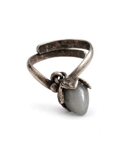 Oxidised Ring