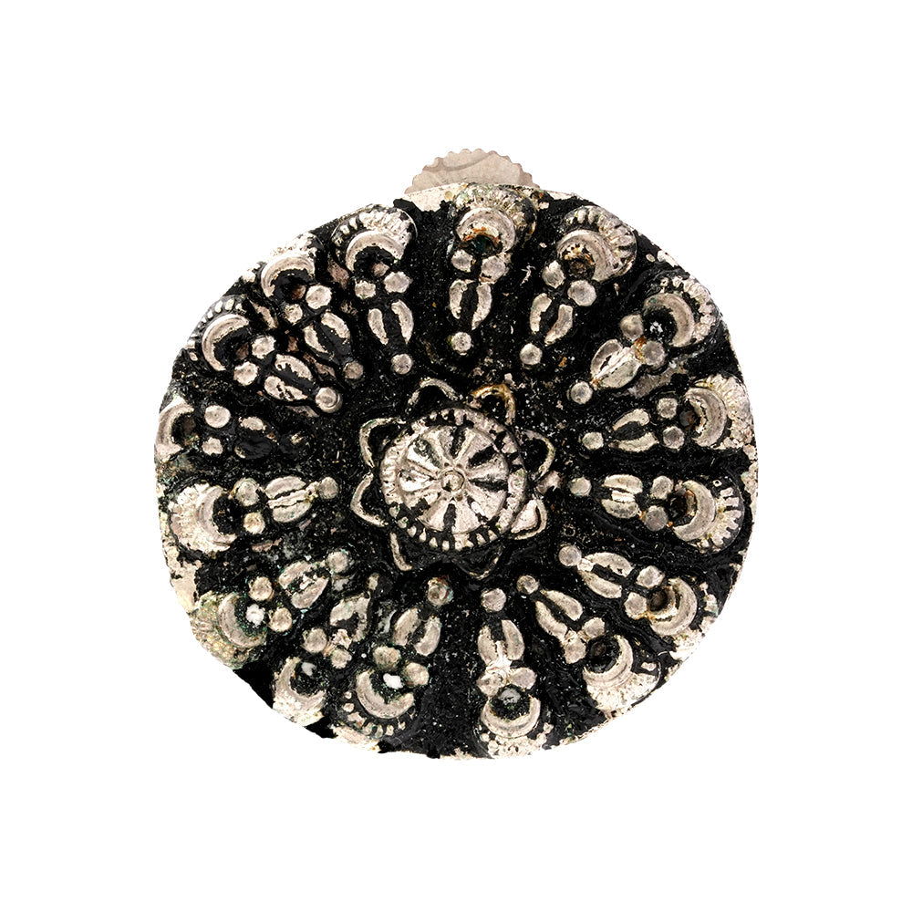 ChandiChakra- Silver alloy stud Earrrings