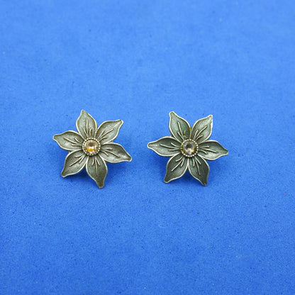 Juhi- Silver Brass Stone-Studded Stud Earrings