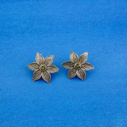 Juhi- Silver Brass Stone-Studded Stud Earrings